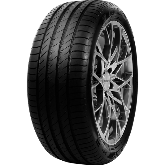 DELINTE 215/50R17 95W DS2