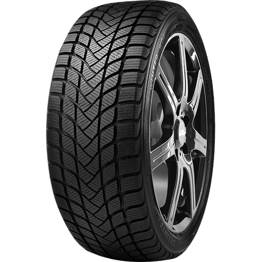 DELINTE 205/50R17 93H WINTER WD6 NC